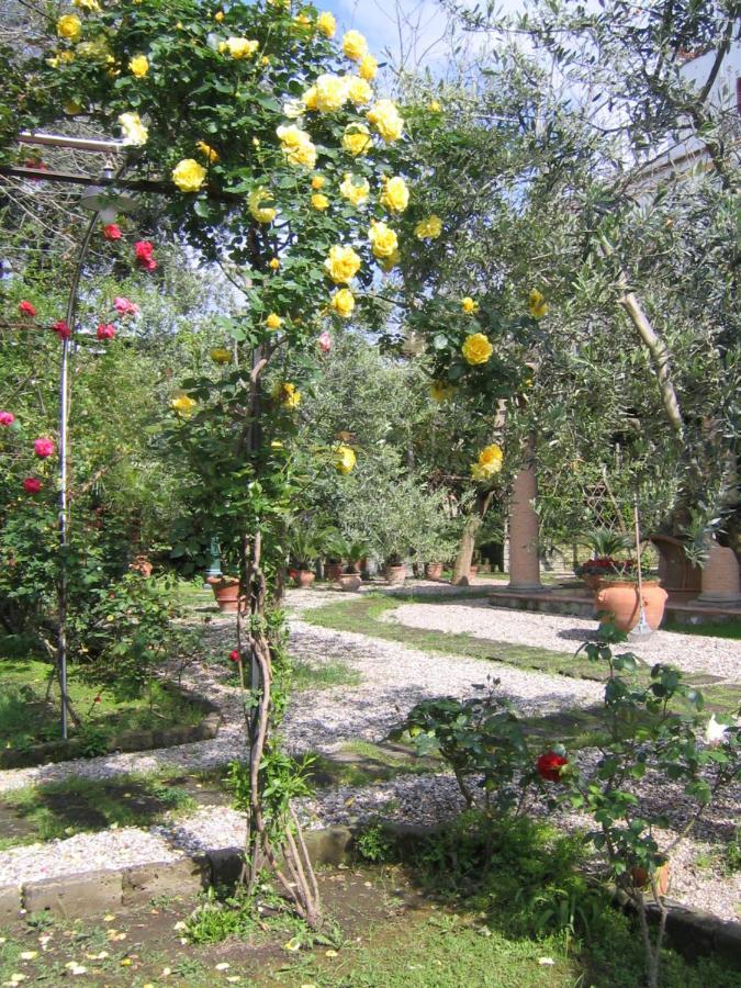 Suite Lidia B&B Соренто Екстериор снимка
